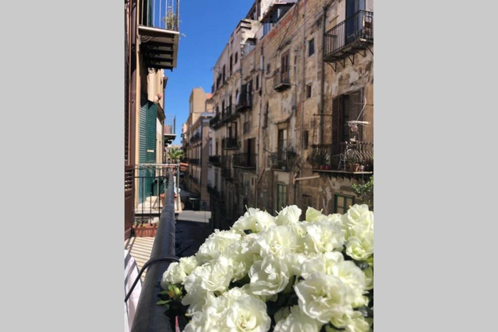 Piazza Marina Open Space Palermo Exterior photo